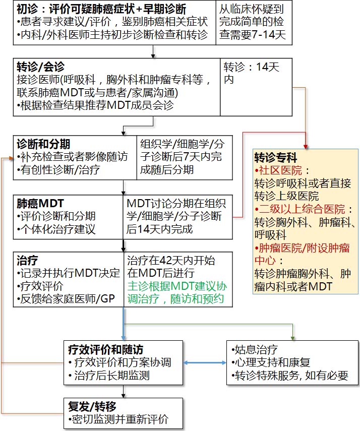肺癌的简要诊疗流程和时间表-2.jpg