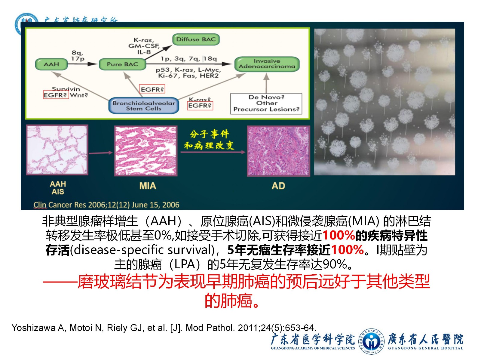 C8CA8TcWa85A6DT2.jpg