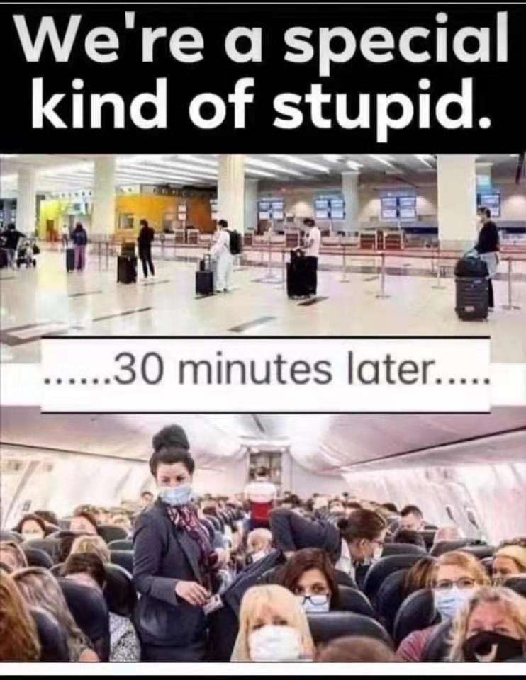 stupid.jpg