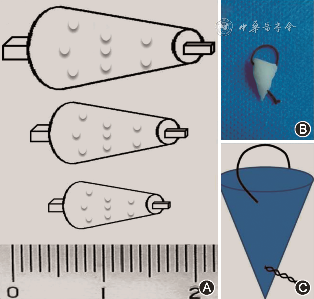 d658fb2ae197d6332e8bda404f59bd95.png