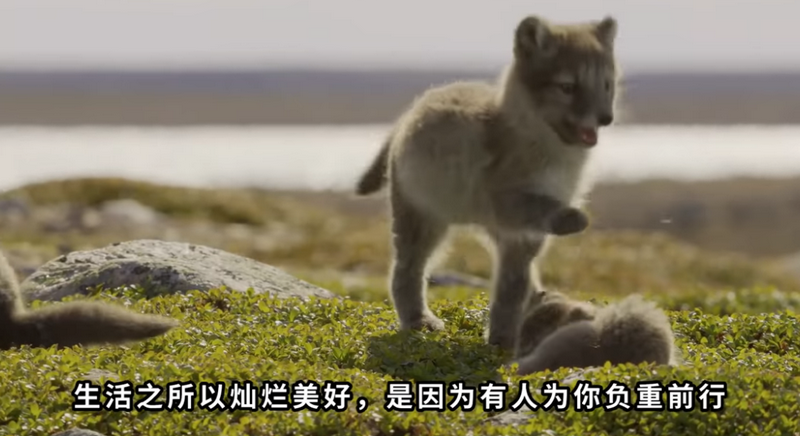负重前行.png