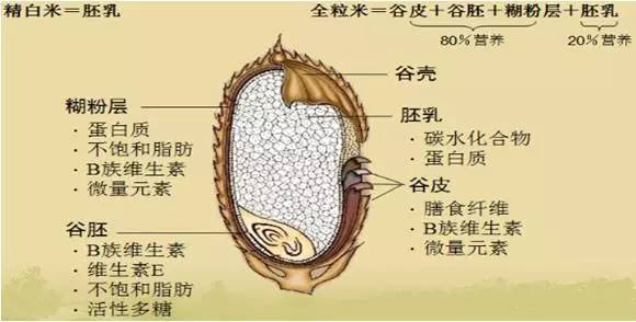 d7a70e67de4b0b983ad52d083a3b1c69.jpg