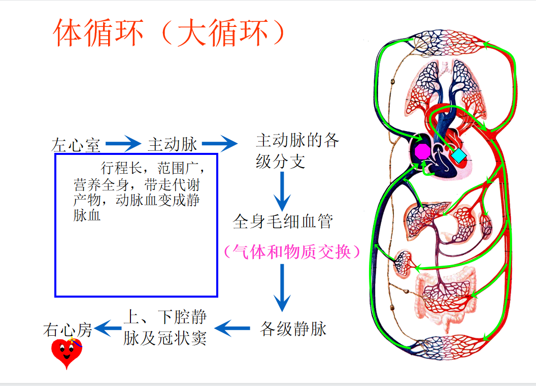 截图202208121901203926.png