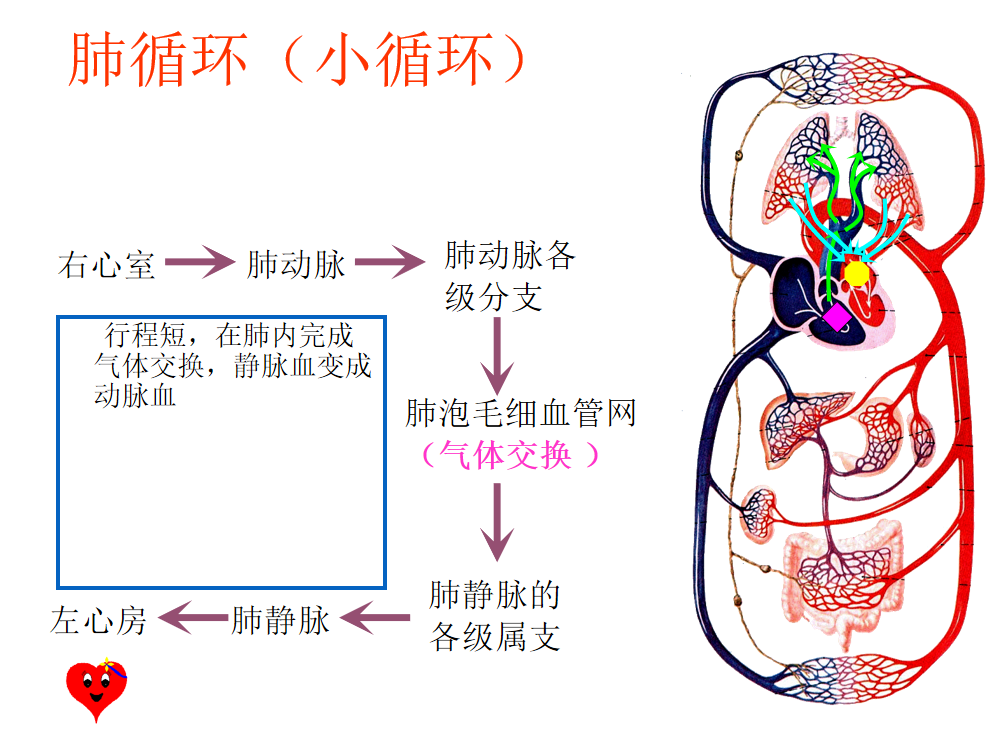 截图202208121901304562.png