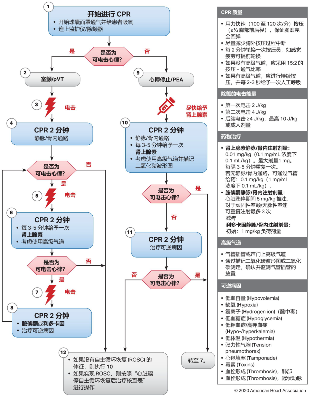 儿童心跳骤停流程图.png