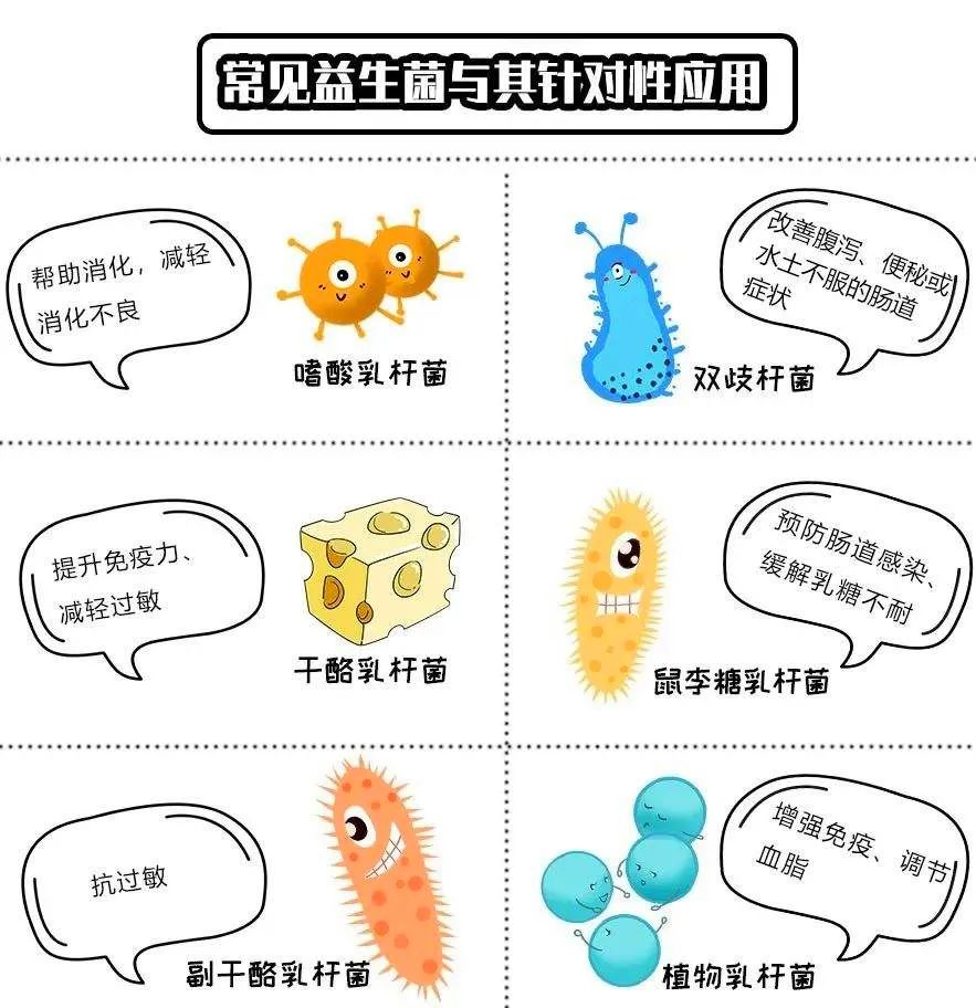 益生菌、益生元、合生元、后生元?别再傻傻分不清(上) - 饮食营养 - 阳光肺科