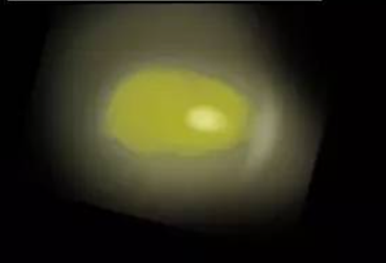 截图202303152237353133.png