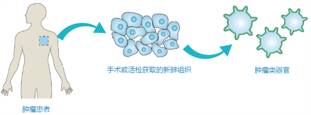 82cec7cf78e6627cf408a285f70c9805.png