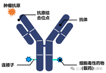 截图202411301203233305.png