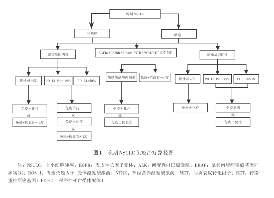 af8e203caaa63340926649c096cae5ec.png