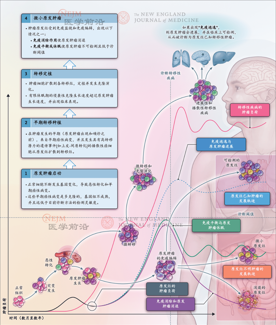 ff5231145b9aec30581c8bb207676c14.png
