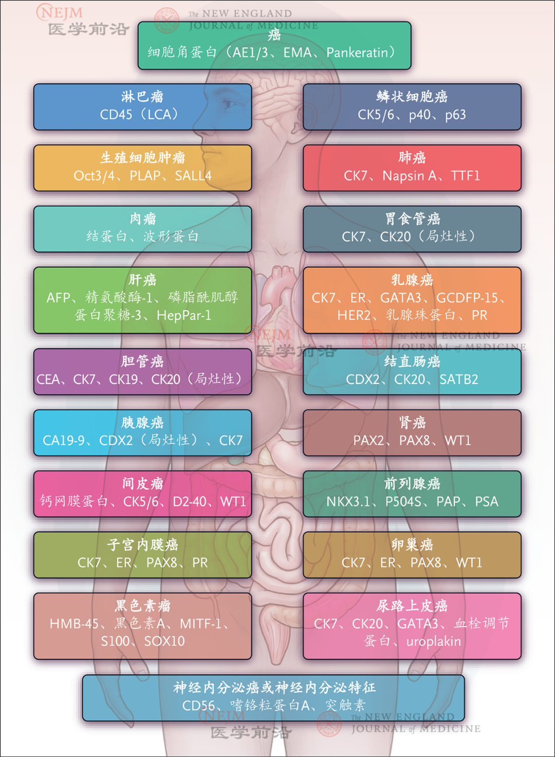 b6b9f16d2126d414ab470aa636c53e32.png