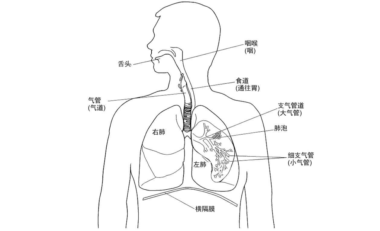 153056d73xm236565b3xvl.png
