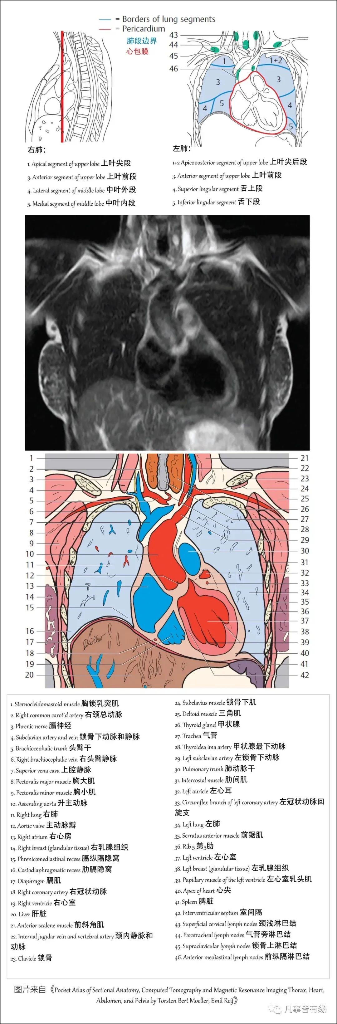 3e8b73ae7437a4343260f41ec1d3daab.jpg