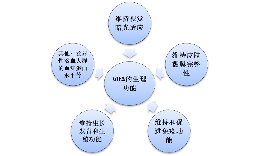 7046c8a25a30879ff0566e807ed46e85.png