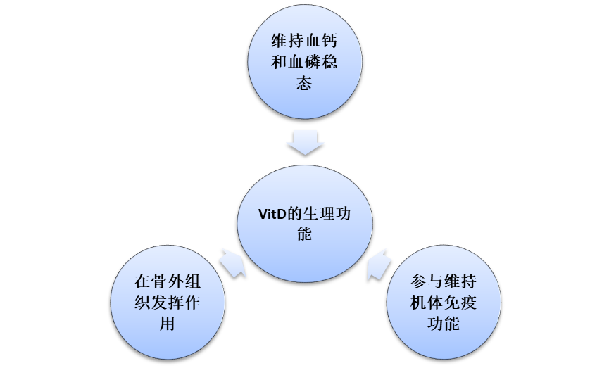 d03b7050f9b6c854e4ea9a8a451d3839.png