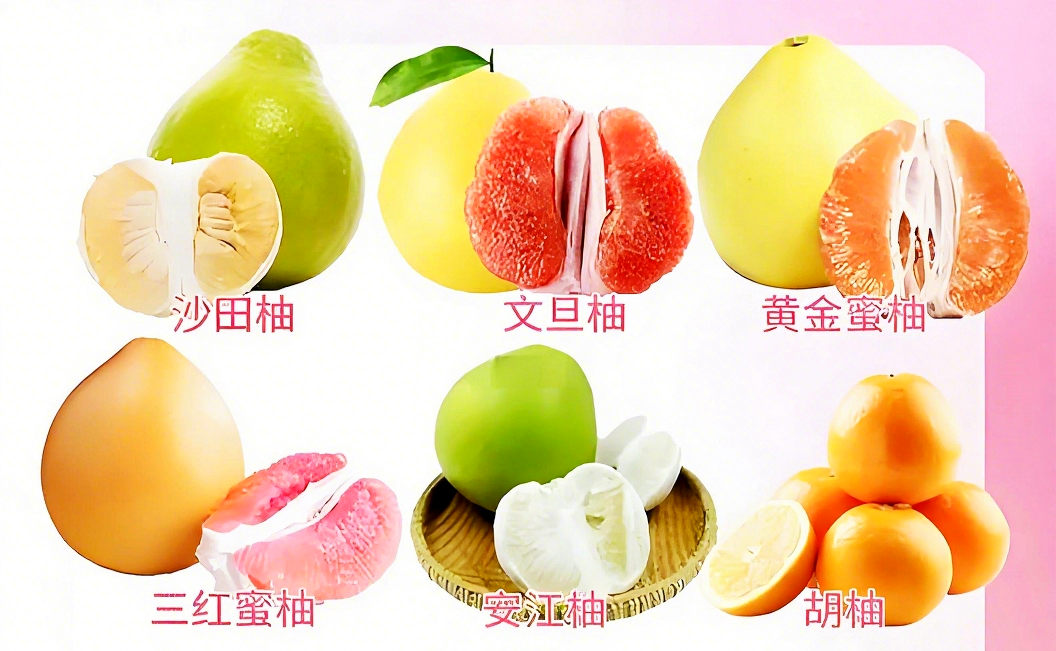 d2837b5606627eb544e5edafe6ae2c21.png
