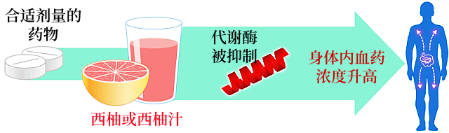 5995f7a10a678bbc1f5abd4e5ab8e3d7.png